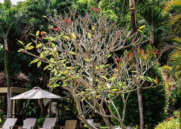 Rossa Garden Boutique Gasthuis 3*